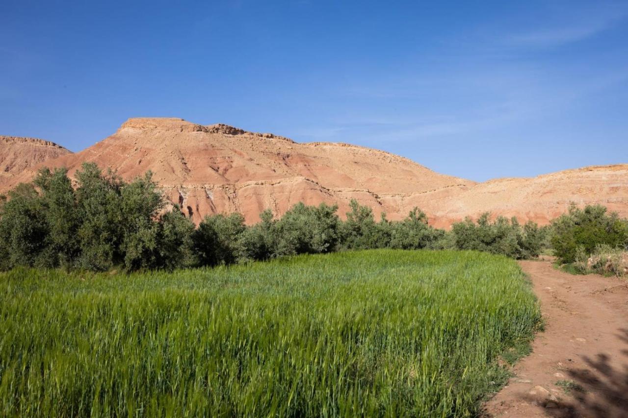 Riad Tigmi Du Soleil Aït Benhaddou Dış mekan fotoğraf